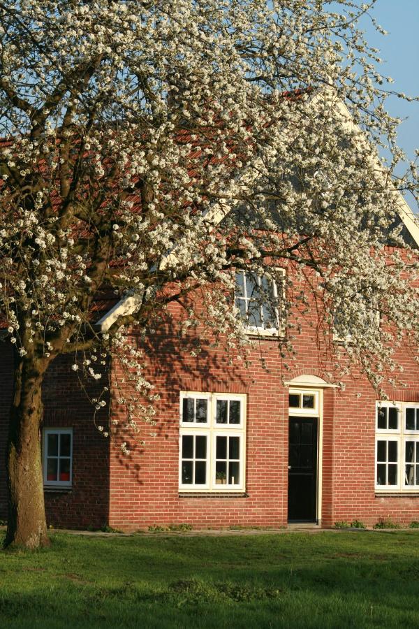 B&B Erve Ten Dam Ambt Delden Bagian luar foto
