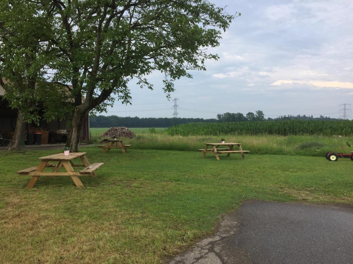 B&B Erve Ten Dam Ambt Delden Bagian luar foto