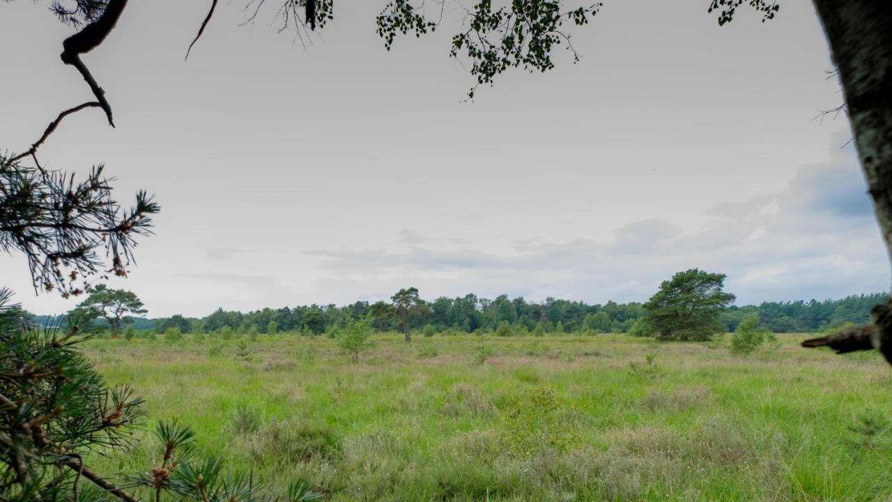 B&B Erve Ten Dam Ambt Delden Bagian luar foto
