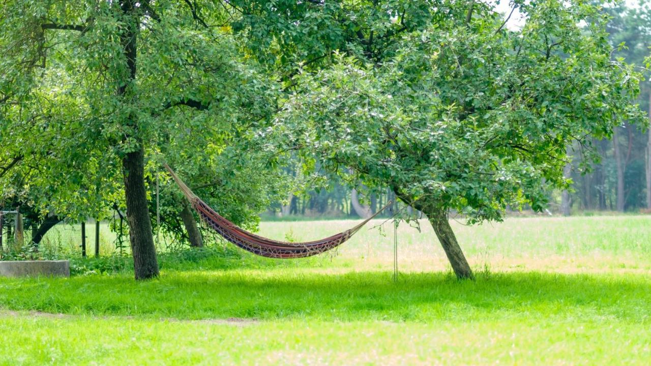 B&B Erve Ten Dam Ambt Delden Bagian luar foto